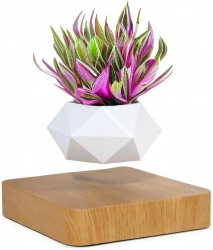 Levitating Air Bonsai Pot – 360° Magnetic Floating Planter for Home & Office Decor | Rotation Flower Pot Suspension for Desk & Living Room