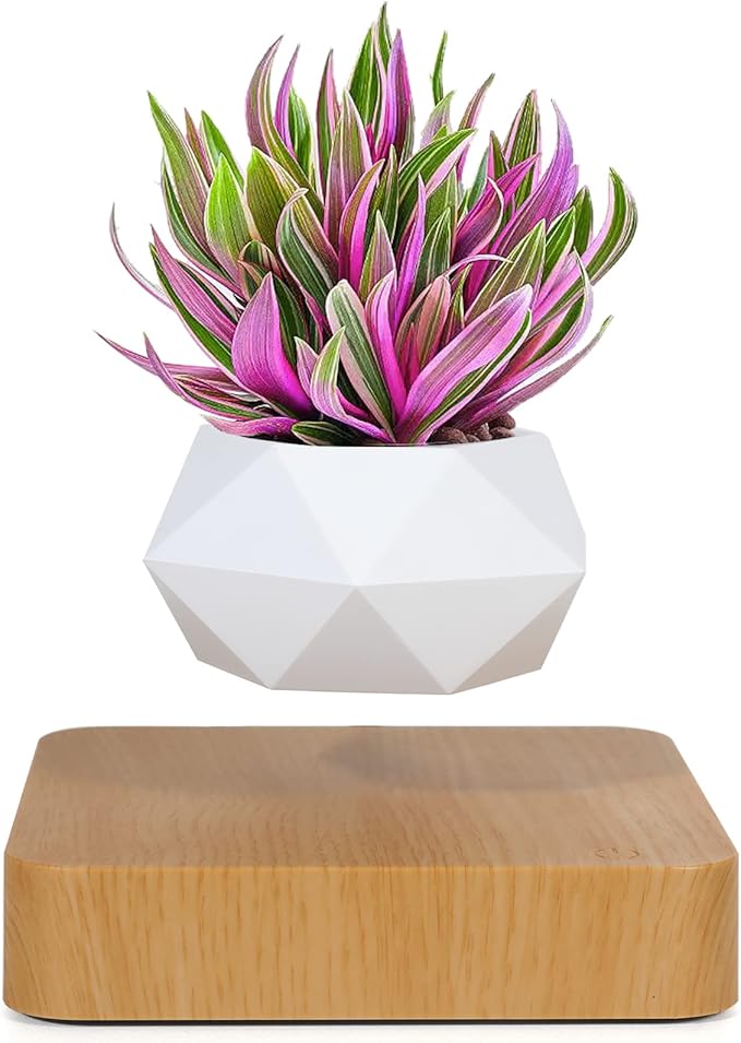 Levitating Air Bonsai Pot – 360° Magnetic Floating Planter for Home & Office Decor | Rotation Flower Pot Suspension for Desk & Living Room