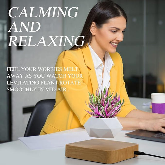 Levitating Air Bonsai Pot – 360° Magnetic Floating Planter for Home & Office Decor | Rotation Flower Pot Suspension for Desk & Living Room