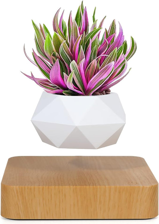 Levitating Air Bonsai Pot – 360° Magnetic Floating Planter for Home & Office Decor | Rotation Flower Pot Suspension for Desk & Living Room